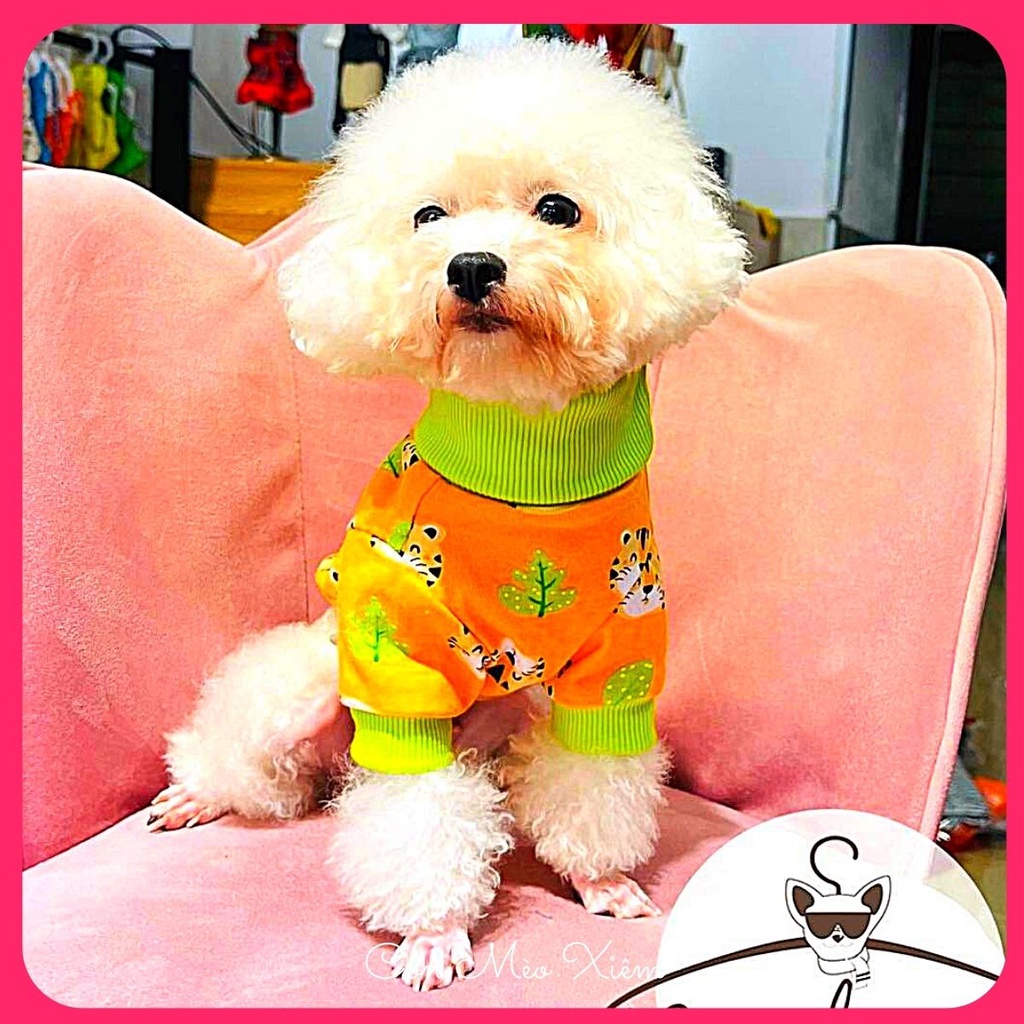 Áo thun cho chó mèo thun ôm hình con hổ ấm áp, quần áo tết thú cưng Con Mèo Xiêm