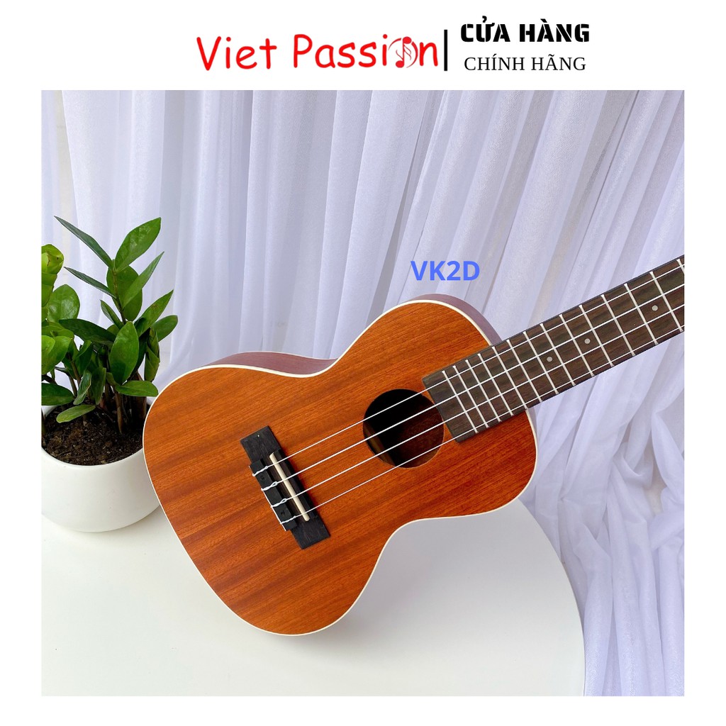 Đàn ukulele concert VK2D Viet Passion 23 inch gỗ mộc trơn khóa đúc cho bạn mới bắt đầu tập chơi