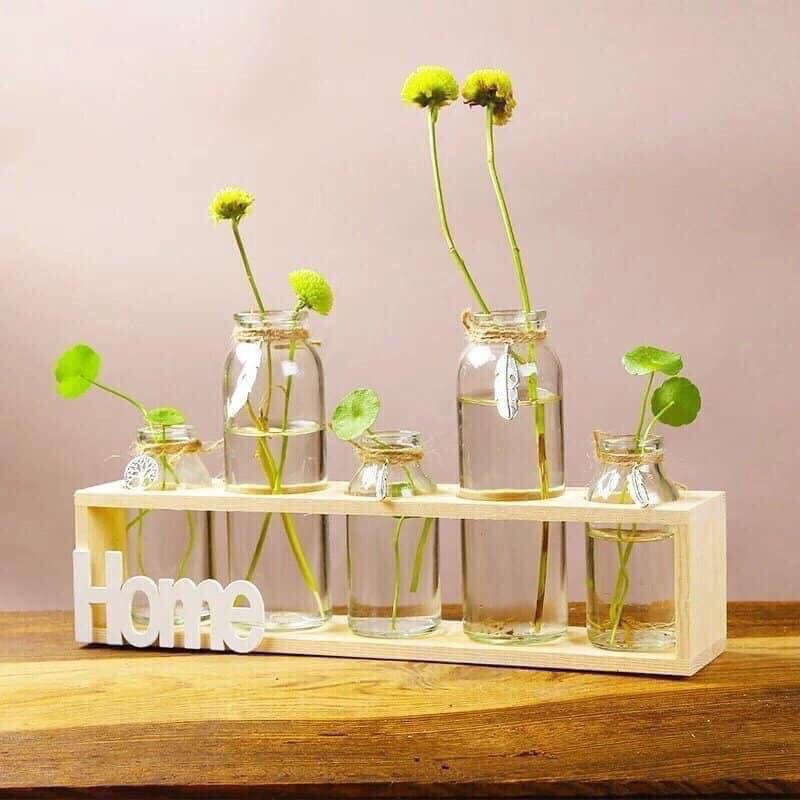 Combo 5 bình thủy tinh kèm kệ gỗ Home