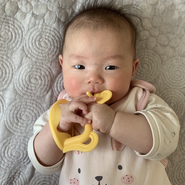 Set 2 gặm nướu Moyuum silicon cao cấp pony vàng và chim coral mới kèm hộp đựng