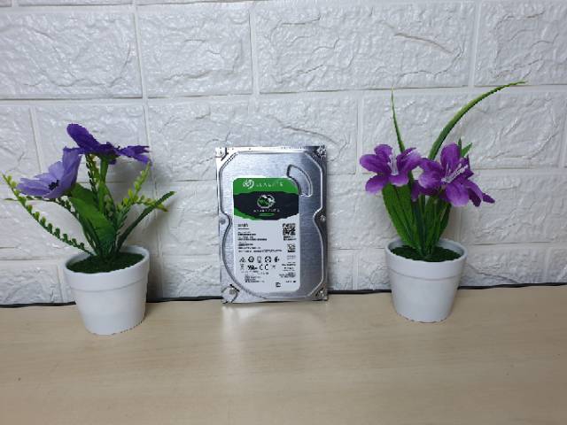 Ổ Cứng Seagate 500gb 3.5 Inch Cho Pc Và Cctv | BigBuy360 - bigbuy360.vn