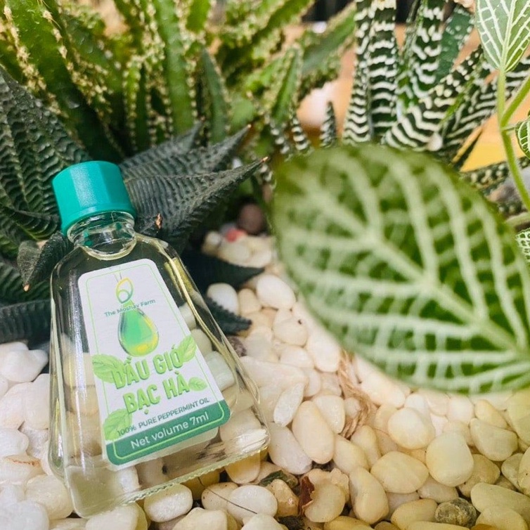 Dầu Gió Bạc Hà Mát Dịu Thông Mũi Giảm Say Xe Giảm Đau Đầu The Moshav Farm Chai 7ml