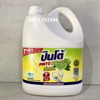 Nước rửa chén Pinto 3.600ml - 3.800ml Thái Lan