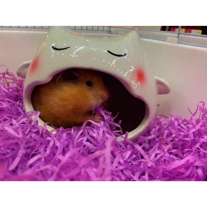 Giấy lót sợi giữ ấm cho hamster