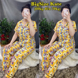 Đồ Bộ Kate Pijama TNQD ( Bigsize 60kg-70kg ) _ P1