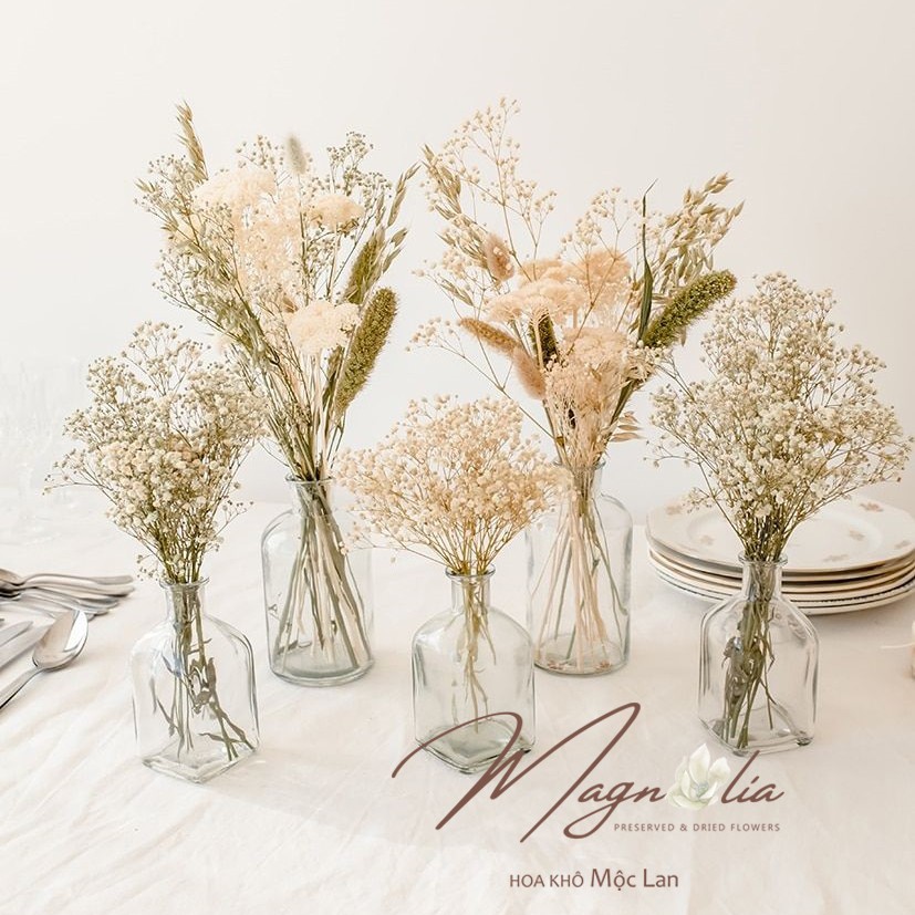 Hoa Decor trang trí phong cách Bắc Âu 1 cành hoa khô Seteria Grass ❤️FREESHIP❤️ phụ kiện trang trí giáng sinh