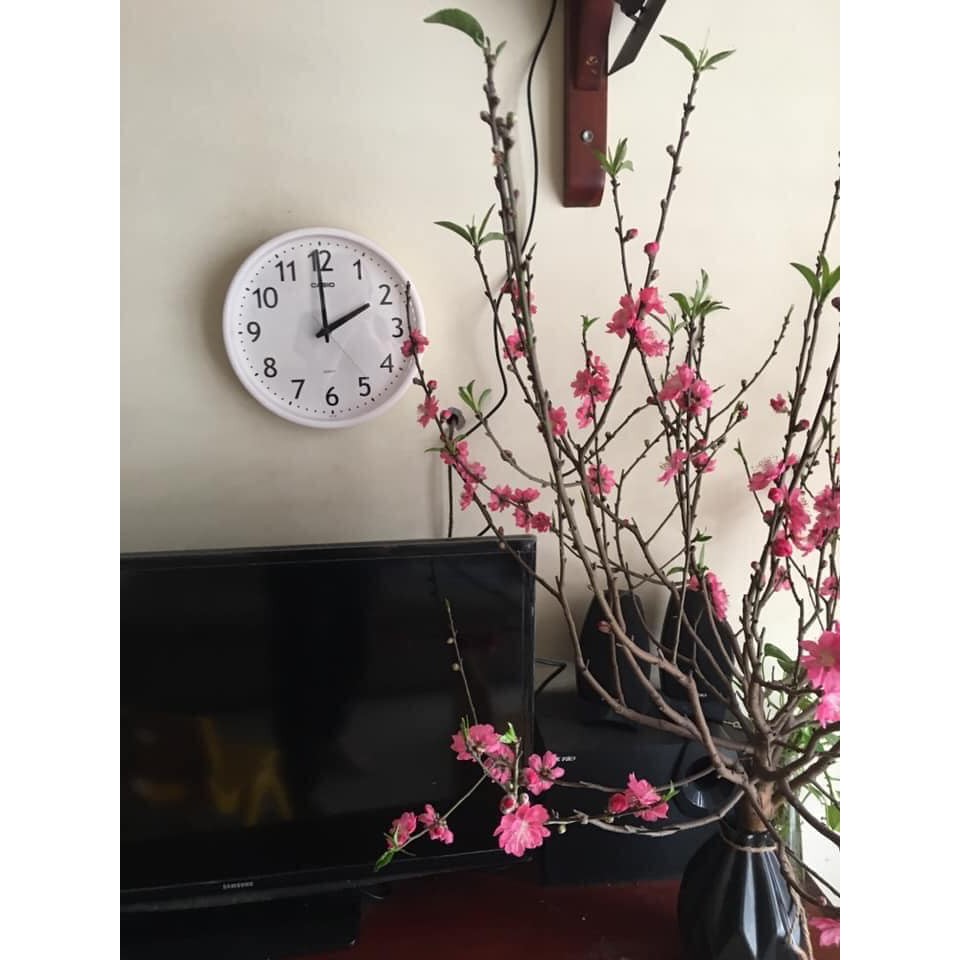 đồng hồ treo tường