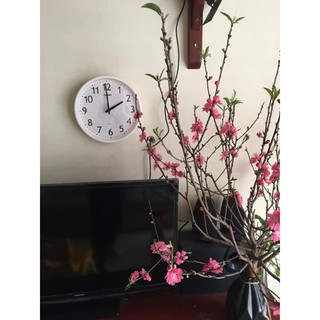 Đồng hồ treo tường