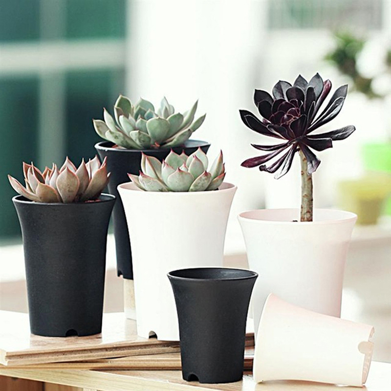 1 Chậu Nhựa Tròn Trồng Cây Chuyên Dùng