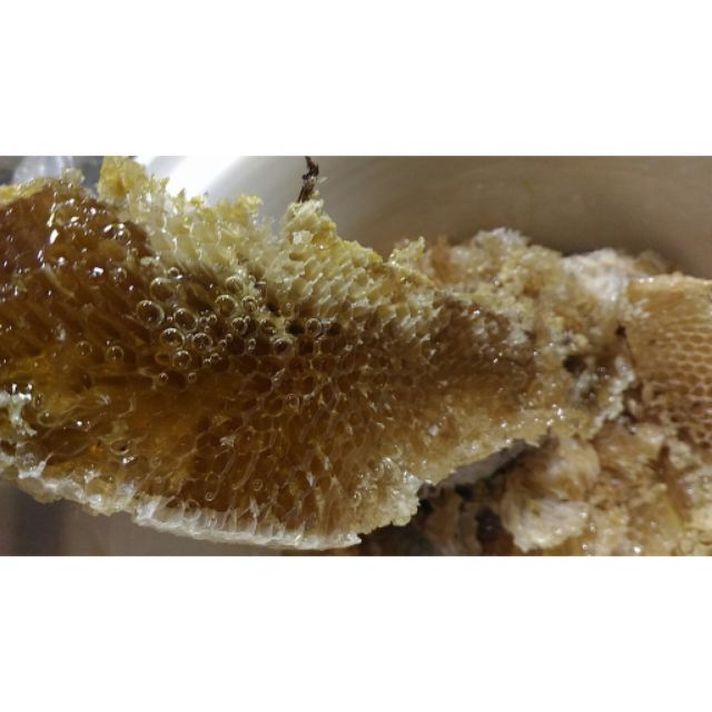 Mật ong rừng chuẩn xịn lọ 100ml bao test