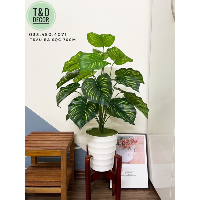 Trầu bà sọc 70cm - Cây hoa giả decor