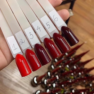 Set sơn gel mxbon set đỏ chuẩn đỏ , max phê