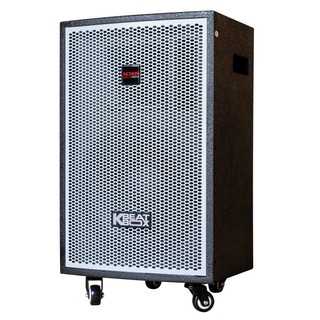 Loa điện di động Acnos KDNet3011