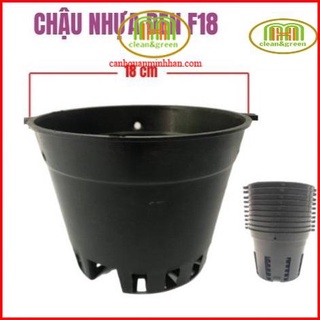 Combo 10 chậu nhựa đen trồng lan phi 12