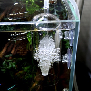 CỐC SỦI CHỐNG VĂNG - SỦI HÒA TAN OXY THỦY TINH