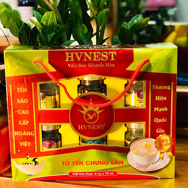 Yến Sào Khánh Hòa⚜FREESHIP⚜30% Yến Tươi Không Chất Bảo Quản SET QÙA BIẾU (lõi vàng) YẾN SÀO HOÀNG VIỆT- NHA TRANG, KHÁN | BigBuy360 - bigbuy360.vn