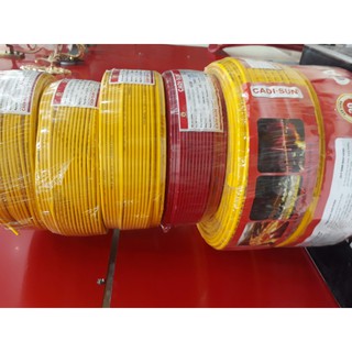 1m dây điện cadisun 2x1.5