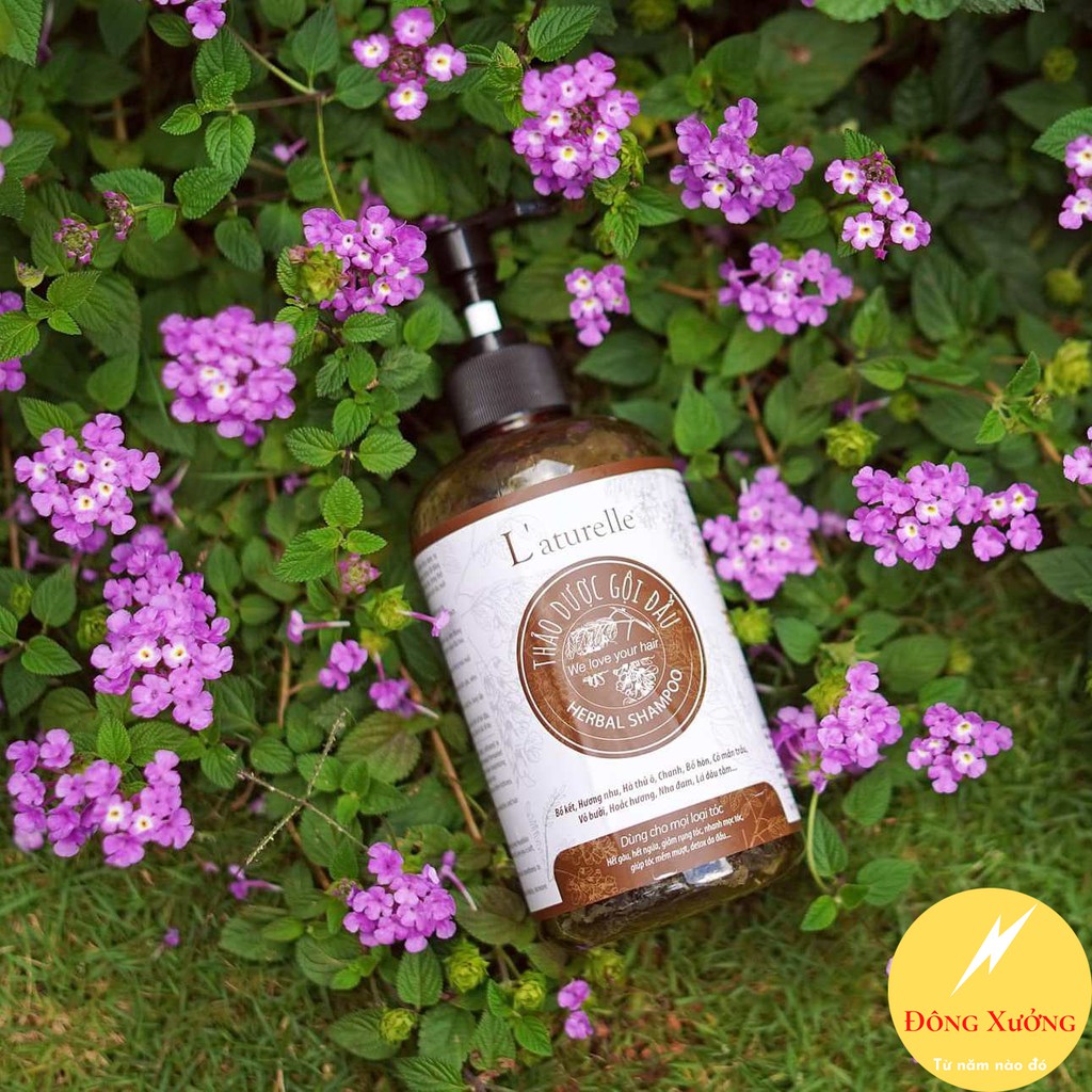 TRỞ VỀ VỚI TRUYỀN THỐNG VÀ THIÊN NHIÊN cùng DẦU GỘI THẢO DƯỢC L'aturelle 500ml