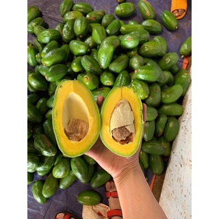 Bơ sáp đak lak  #150k / 10kg