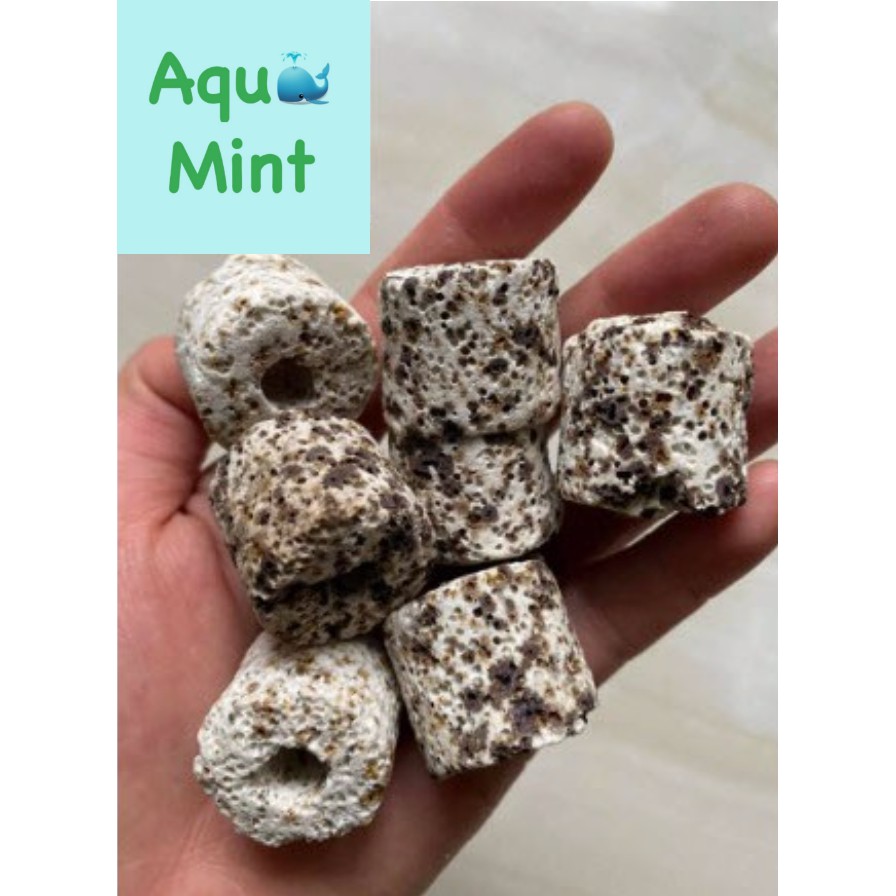 Vật Liệu Lọc Sứ Trụ Muối Tiêu 100Gr