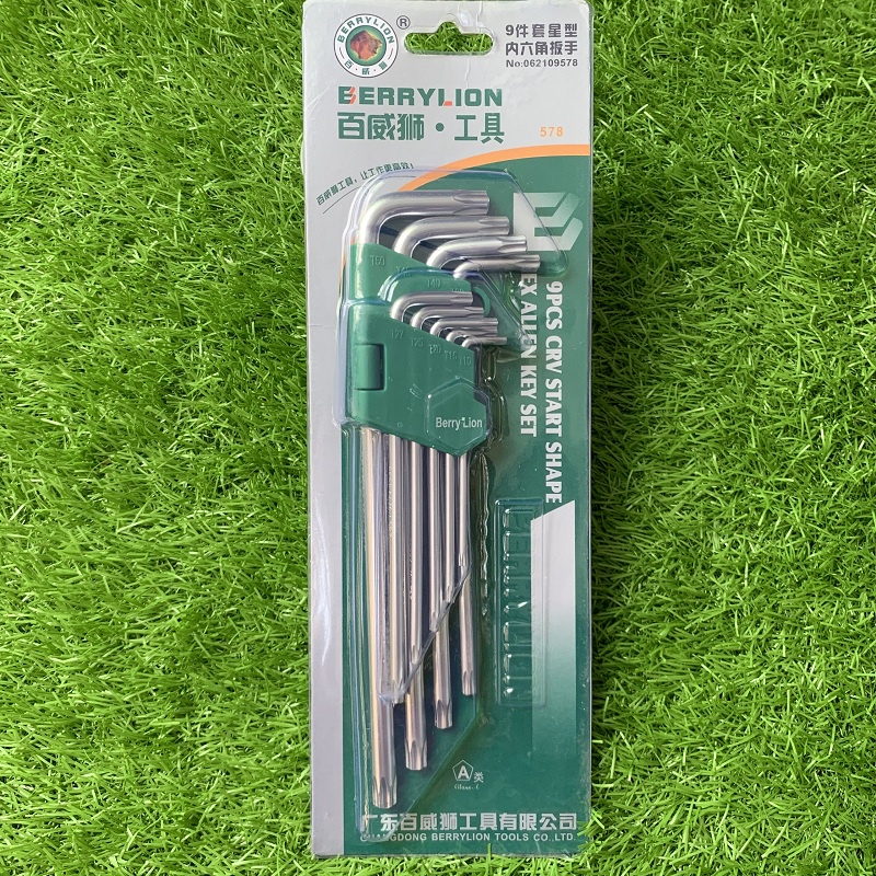 Bộ lục giác đầu bông 9 cây  T10-T50 ( Berrylion 17mm)