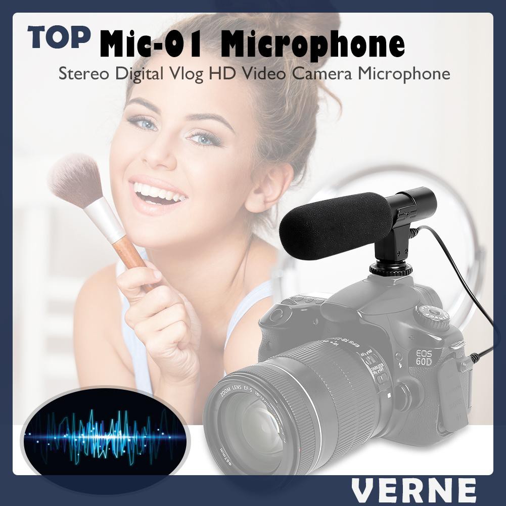 Mic thu âm chuyên nghiệp Verne Mic-01