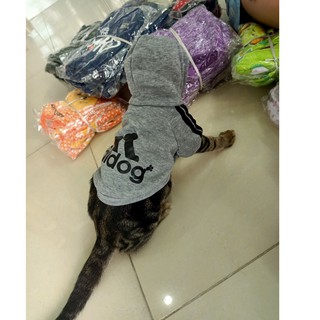 Áo Nỉ ADIDOG Cho Chó Mèo