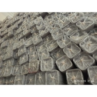 Cọc 500 khay 9.5 loại dày