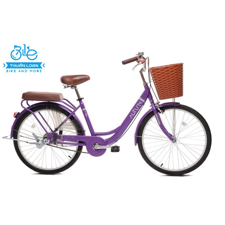 Xe Đạp Thời Trang Nữ Thống Nhất 24 Inch LD 24" -01