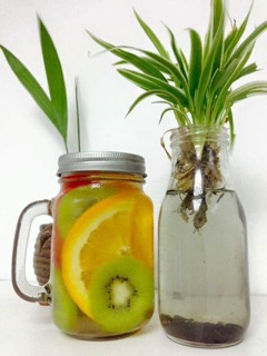Combo 20 ly quai thuỷ tinh 500ml có nắp (cốc thuỷ tinh)
