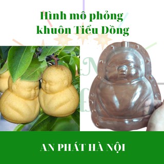 Khuôn Tạo hình trái cây TIỂU ĐỒNG loại lớn - khuôn tao hình chú tiểu đồng dùng cho trái bưởi 1-1,4kg