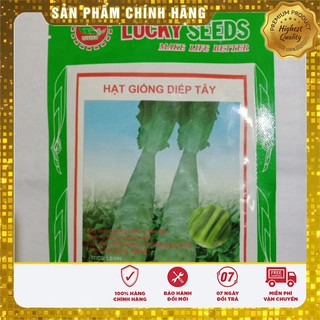 Hạt Giống Rau Diếp Tây (1gr)