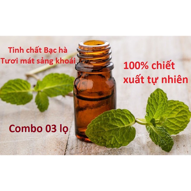 Combo 03 Lọ tinh dầu Bạc hà cao cấp 20ml