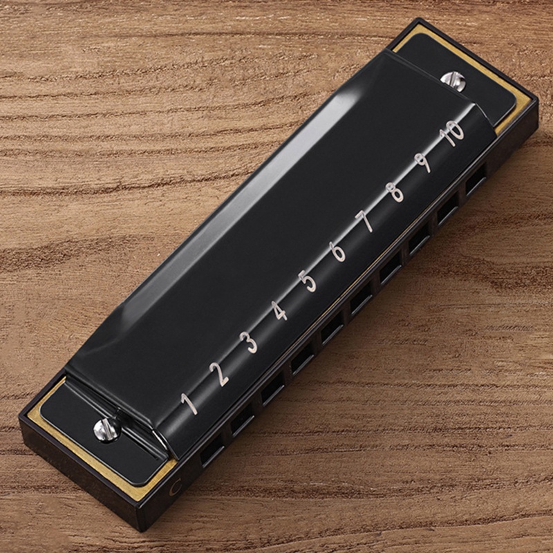 Kèn Harmonica 10 Lỗ 20 Tông Kèm Hộp Đựng Cho Người Lớn Và Trẻ Em