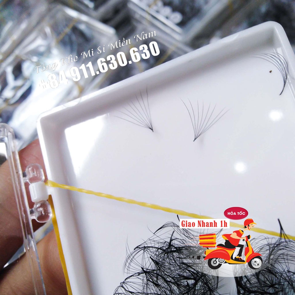 Mi Fan 8D - Hộp 500 Fan DÀY 0.05 - 0.07 - Mi Volume - Dụng cụ nối mi chính hãng - Thiên Ngọc Mi