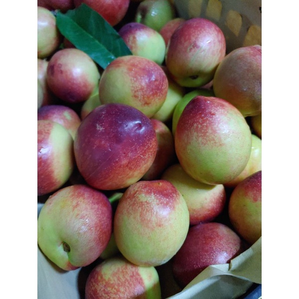 HCM Free Ship - Đào Đỏ Sapa giòn ngọt 1kg