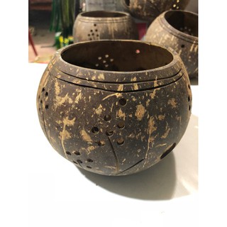 CHẬU GÁO DỪA TRỒNG LAN NHẬP KHẨU.