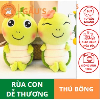 Gấu bông rùa con dễ thương - gấu shop