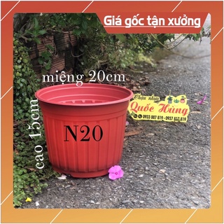 Chậu nhựa nâu n20