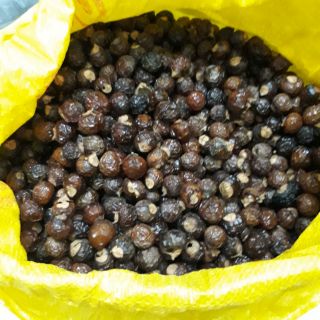 Bồ hòn tách hạt