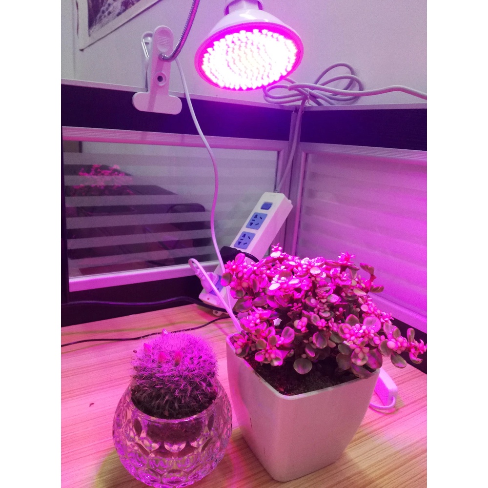 Đèn led trồng cây, đèn trồng cây, trồng rau trong nhà - Led grow light (tự chọn công suất)