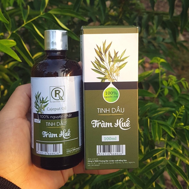 Tinh dầu tràm Huế