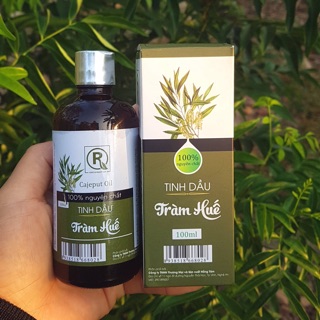 Tinh dầu tràm Huế
