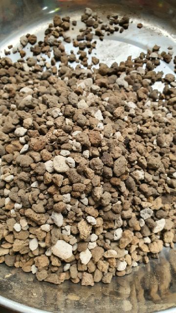 500g Đá pumice - Đá bọt núi lửa