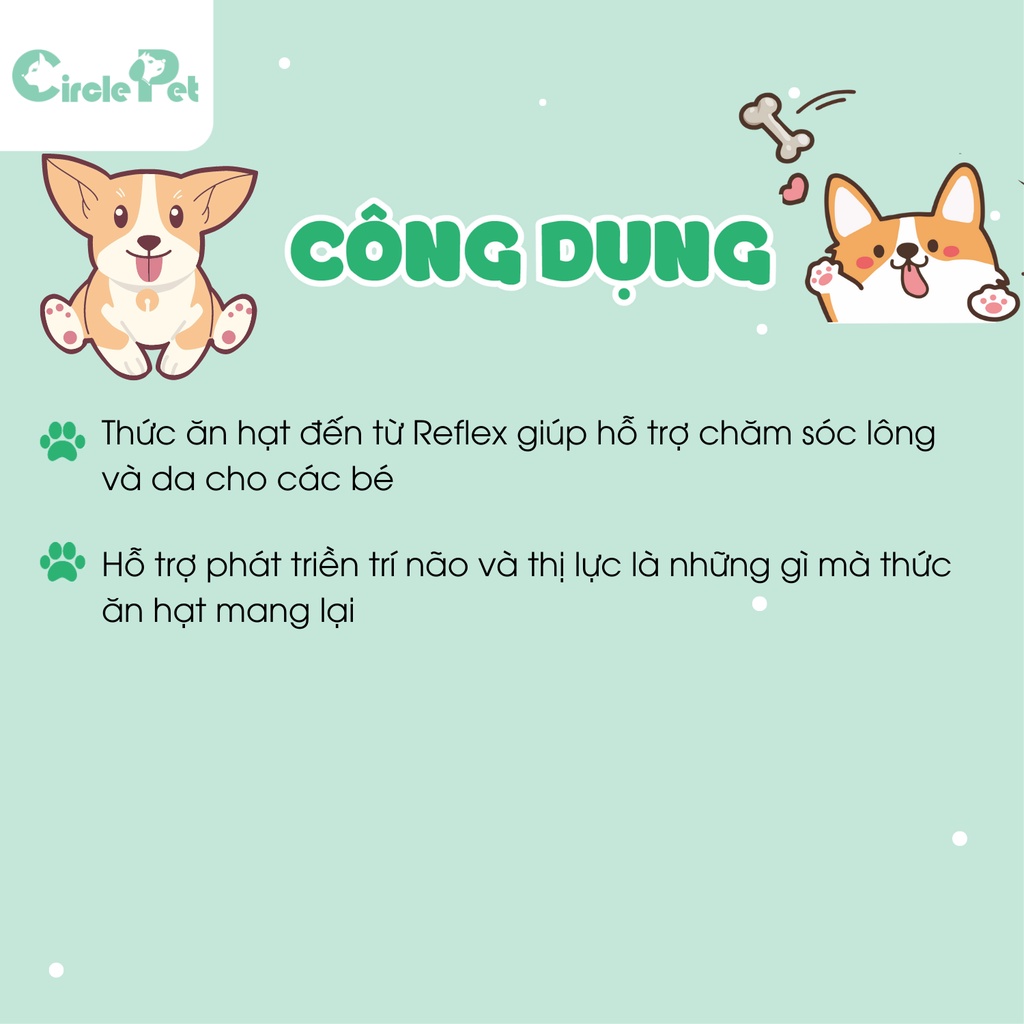 Thức ăn hạt Reflex Plus cho chó vừa và lớn vị cá hồi cải thiện hệ tiêu hóa túi 3kg - Circle Pet