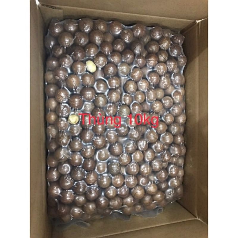 Hạt macca Úc vỏ nứt tự nhiên