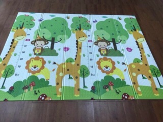 Thảm silicone( đẹp hơn trong hình )