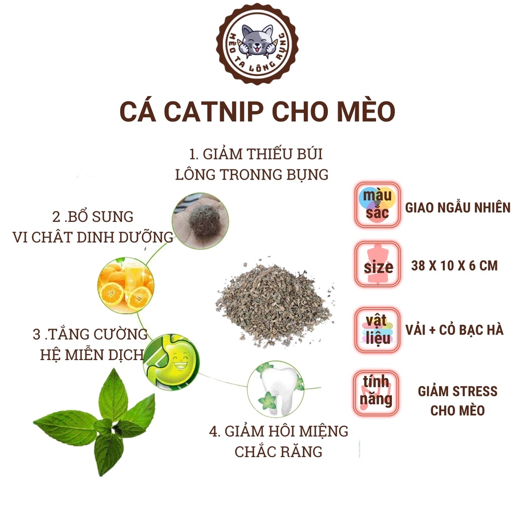 Đồ chơi cho mèo, cỏ bạc hà cho mèo, đồ chơi thú cưng ,cá đồ chơi catnip cho mèo, cỏ bạc hà