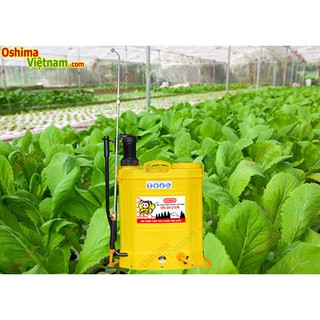 Bình phun thuốc chạy điện 2 chức năng