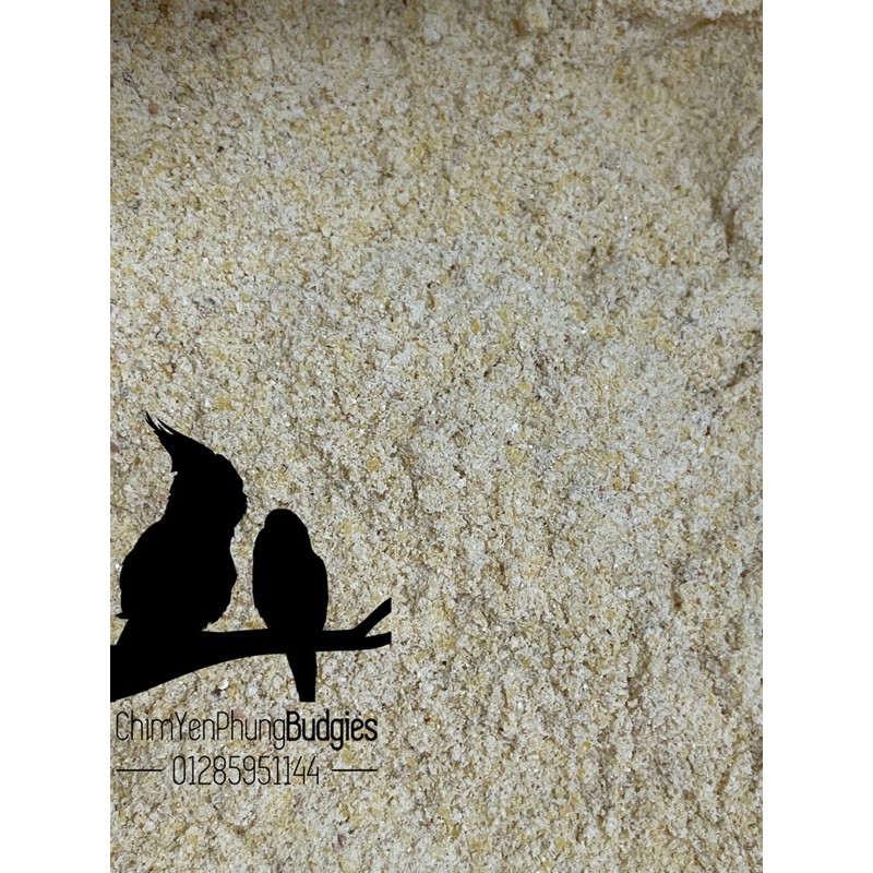 1kg cám bắp cho gà con cám bắp xay cho gà bắp cho chim cút con bắp xay bột cho chim cút